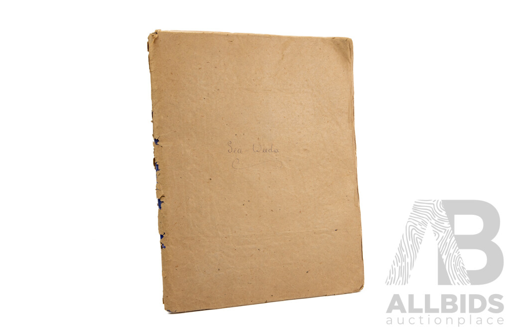 Hand-Collected Vintage Seaweed Collection Housed in a Hand-Made Paper Booklet, 27 X 22 Cm