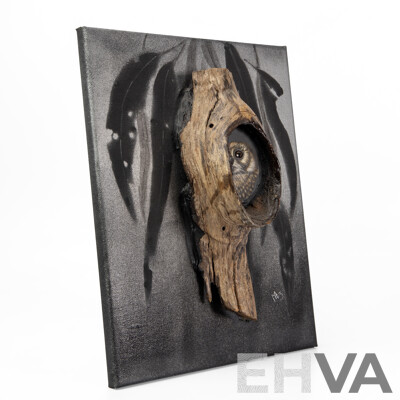 Marianne Schager (Mez), (20th Century, Australian), Owlett Nightjar, Unique Original Scratchboard, Watercolour & Natural Tree Bark Mixed Media, 36 x 28 cm (frame)