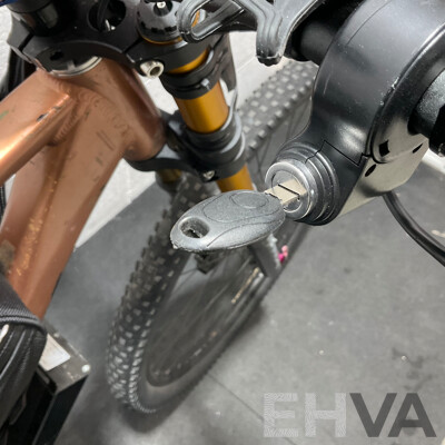 Motorised Bike