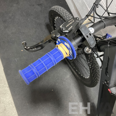 Mamba E-Bike