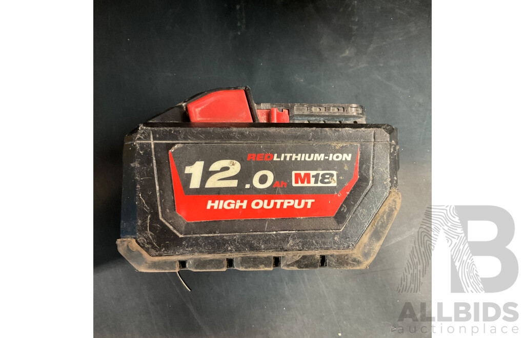 Ezystorage Box with Milwaukee 12.0ah Battery &  Assorted Tools
