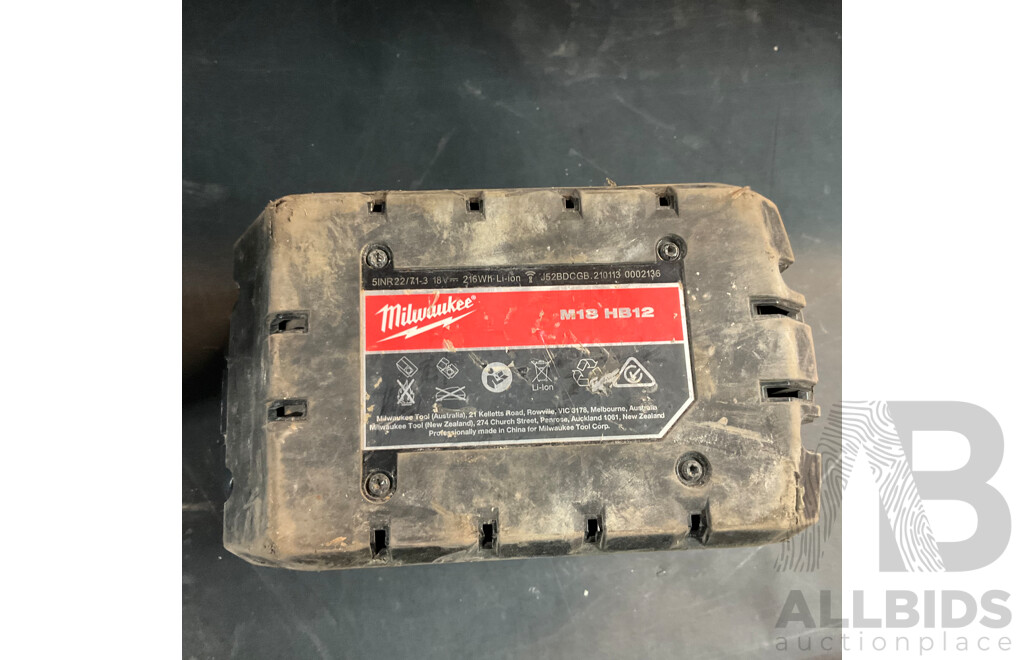 Ezystorage Box with Milwaukee 12.0ah Battery &  Assorted Tools