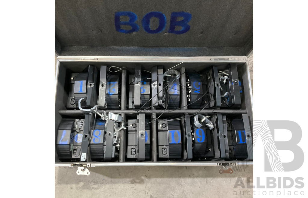 Professional RGBW LED Par Stage Lighting Set