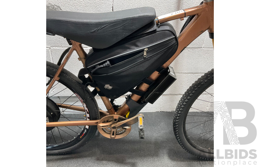 Motorised Bike