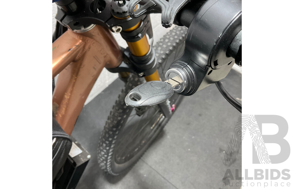 Motorised Bike