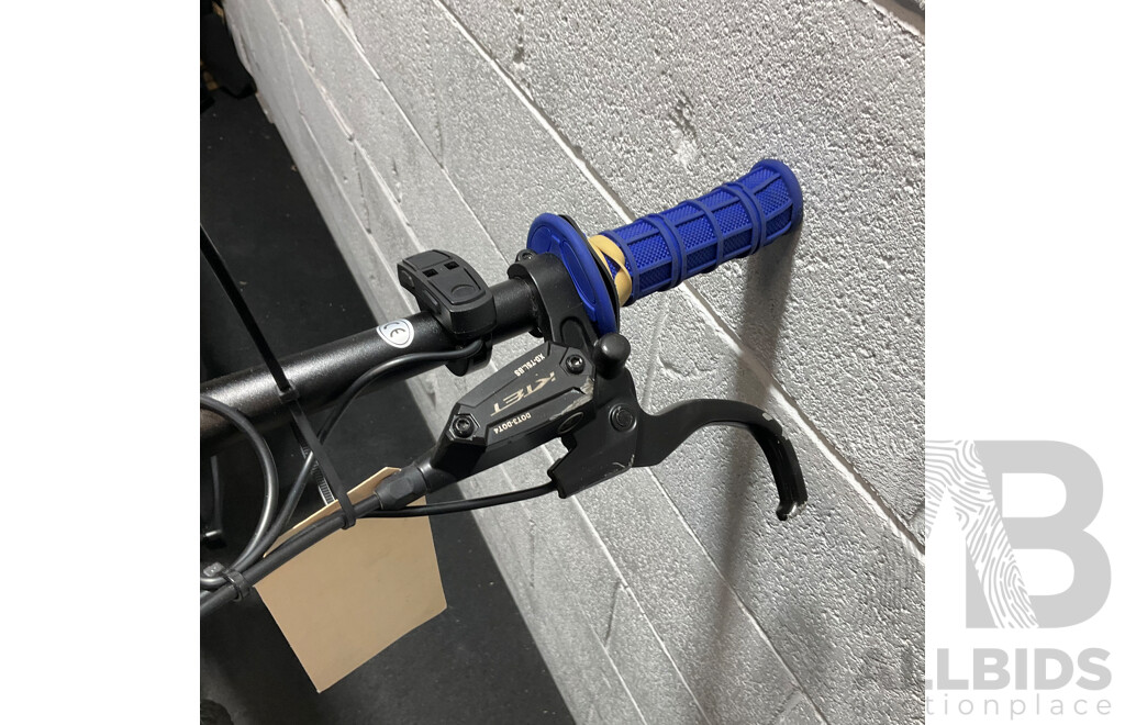 Mamba E-Bike