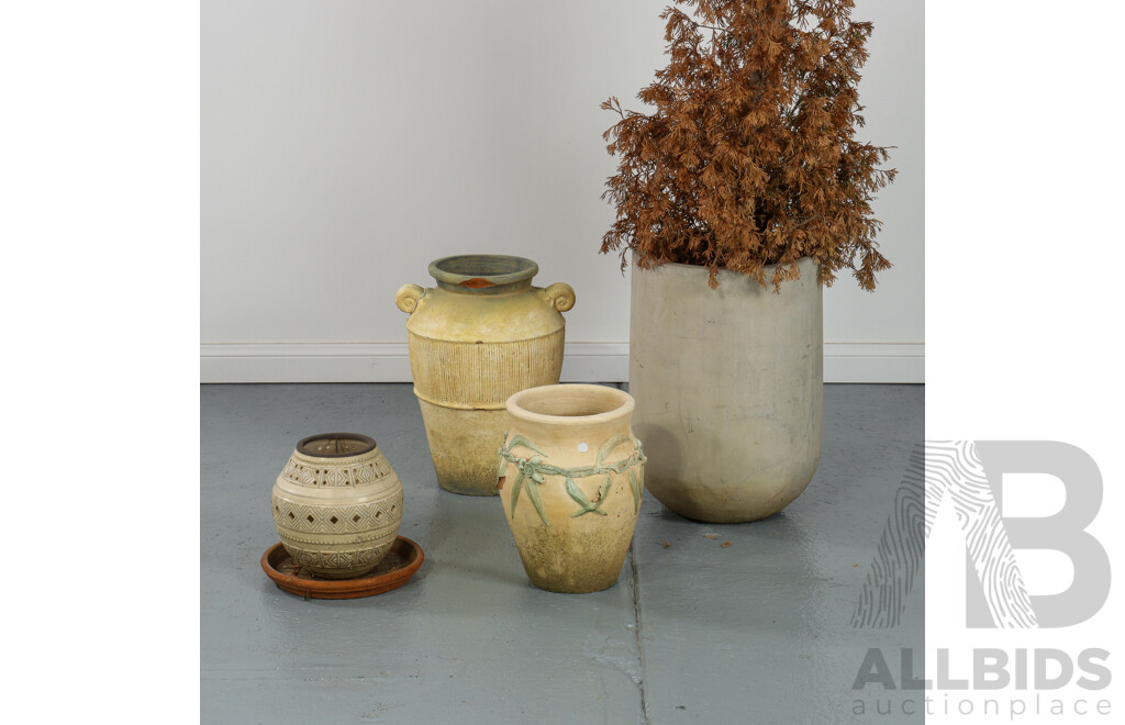 Set of 4 Pots, Ceramic Plant Saucer and Distressed Arborvitae Plant