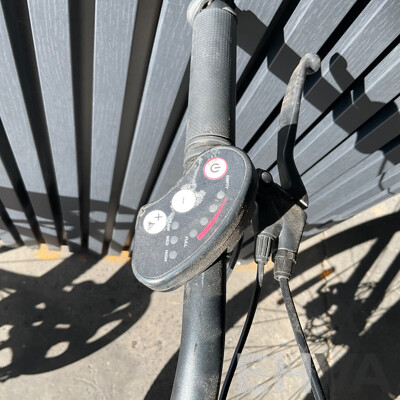 Estate E-bike