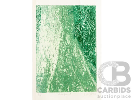 1661363 · Signed Indistinctly, (20th Century), Rain Forest, Original Editioned & Signed Etching, 50H x 35W cm (sheet)