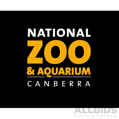 Awesome Roarsome Tour for 2 People - National Zoo & Aquarium Canberra