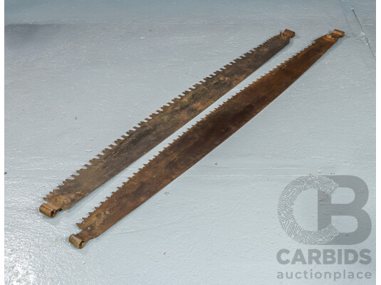Two Large Antique Two Person Cross Cut Log Saws