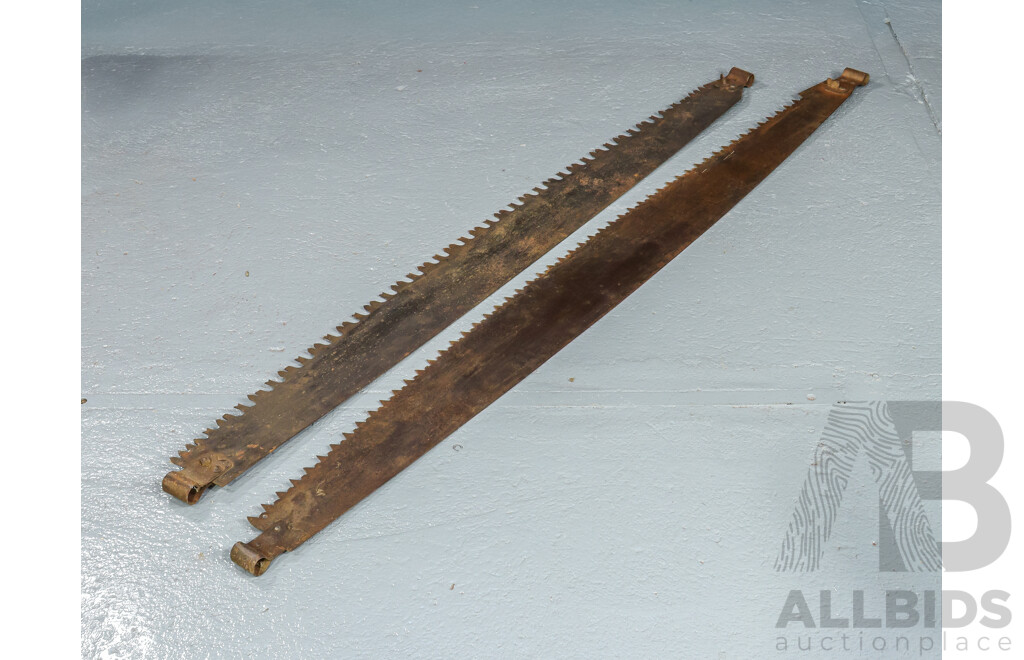 Two Large Antique Two Person Cross Cut Log Saws