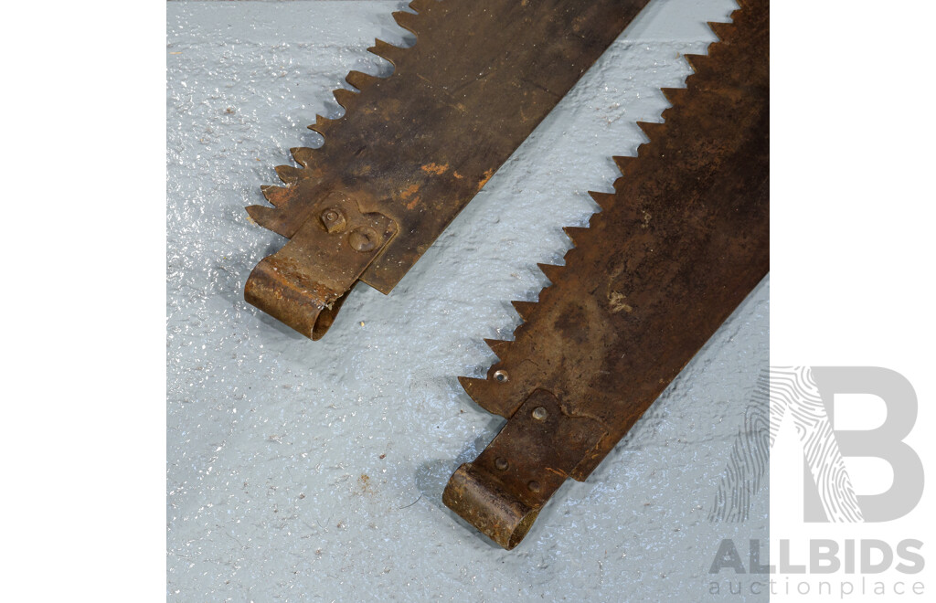 Two Large Antique Two Person Cross Cut Log Saws