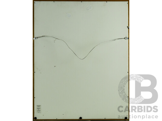 1661136 · Framed Signed North Melbourne Football Club Away Jersey 2003-2004