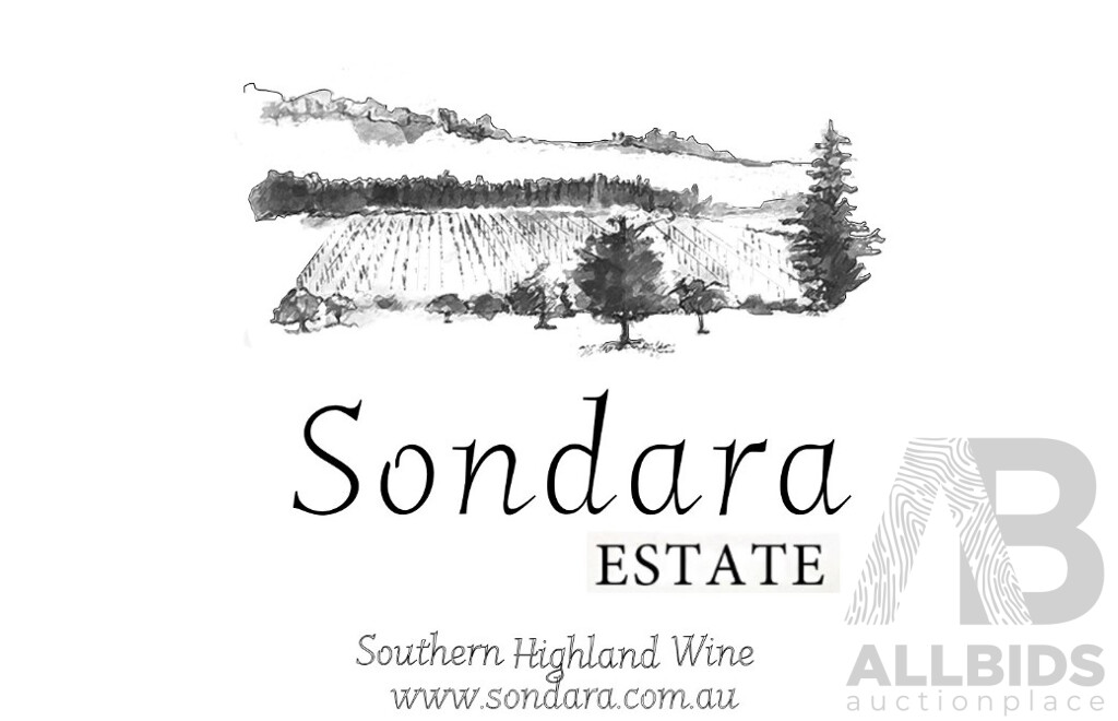 1661311 · L15 - Vineyard Picnic Experience