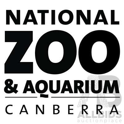 Awesome Roarsome Tour and Family Passes - National Zoo & Aquarium Canberra