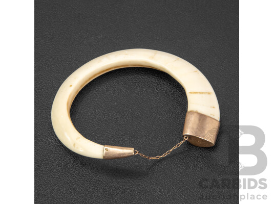 Vintage Polished Boar's Tusk with Copper Capping to Both Ends