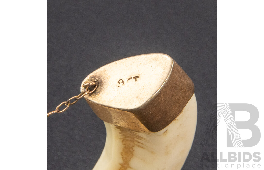Vintage Polished Boar's Tusk with Copper Capping to Both Ends