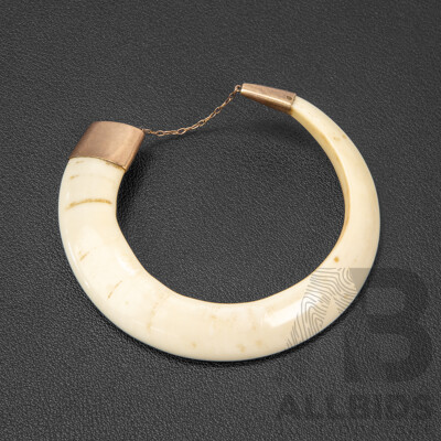 Vintage Polished Boar's Tusk with Copper Capping to Both Ends