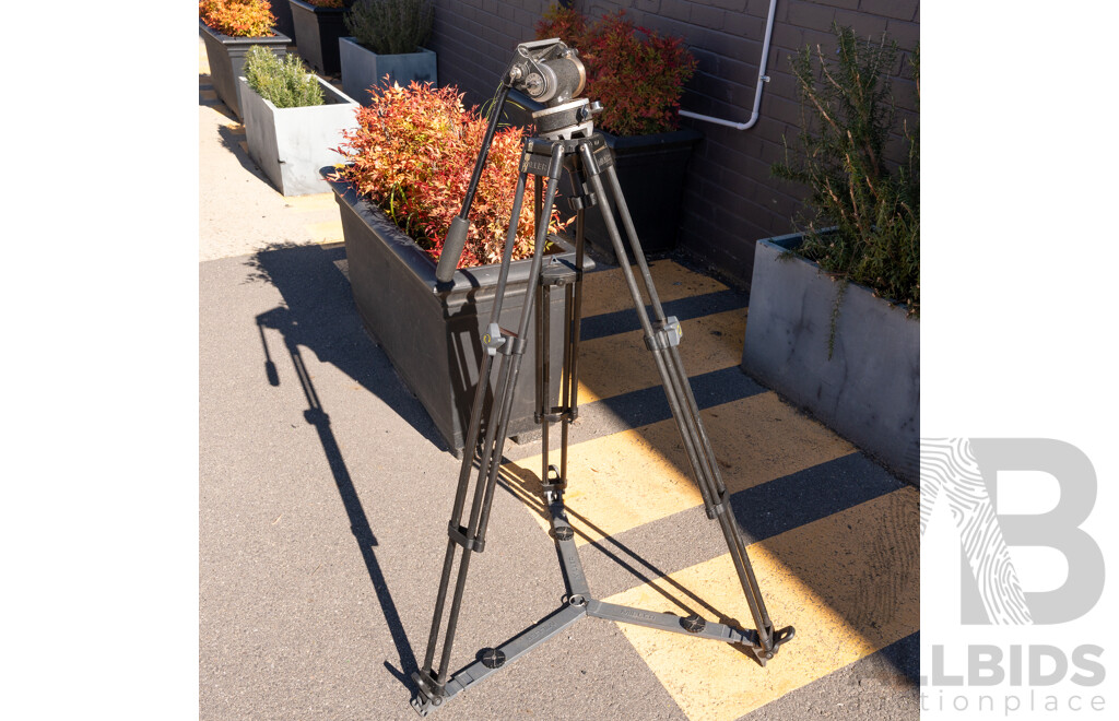 Miller Australian Professional Fluid Head Tripod with Ground Spreader, Accessories and Carry Case