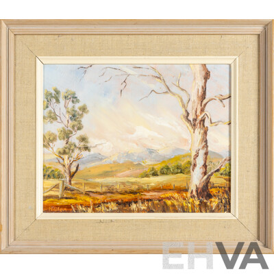 N.Glen, (20th Century), Golden Hills and Ghost Gums, Wonderful Original Vintage Oil on Masonite, 30H x 36W cm (frame)