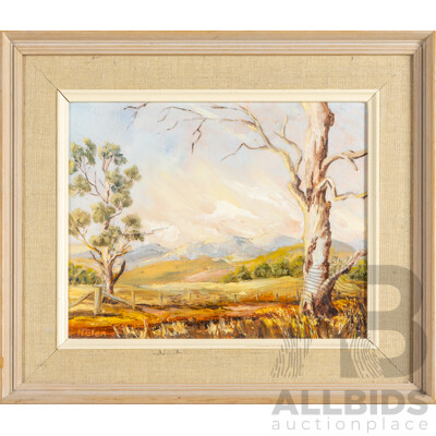 N.Glen, (20th Century), Golden Hills and Ghost Gums, Wonderful Original Vintage Oil on Masonite, 30H x 36W cm (frame)