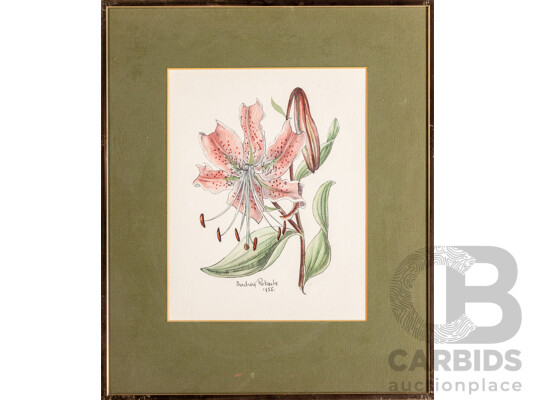 Audrey Roberts (20th Century), Oxlip; Rembrandt Tulip & Lily (1955-56), Original Trio of Mid-Century Original Watercolours, 39H x 32W cm (frames) (3)