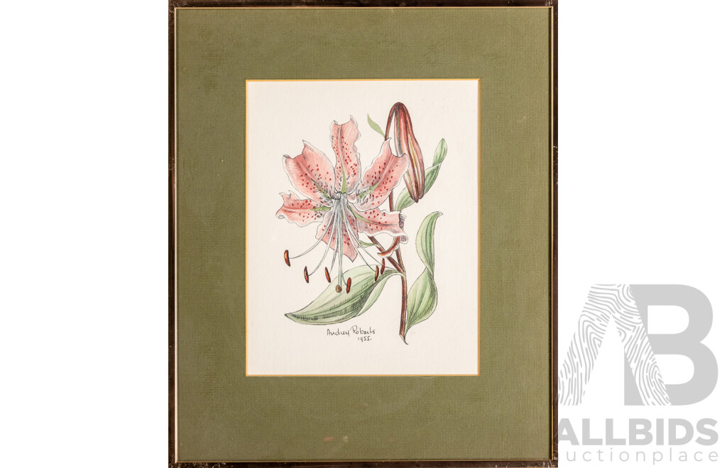 Audrey Roberts (20th Century), Oxlip; Rembrandt Tulip & Lily (1955-56), Original Trio of Mid-Century Original Watercolours, 39H x 32W cm (frames) (3)