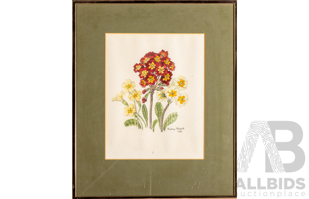 Audrey Roberts (20th Century), Oxlip; Rembrandt Tulip & Lily (1955-56), Original Trio of Mid-Century Original Watercolours, 39H x 32W cm (frames) (3)