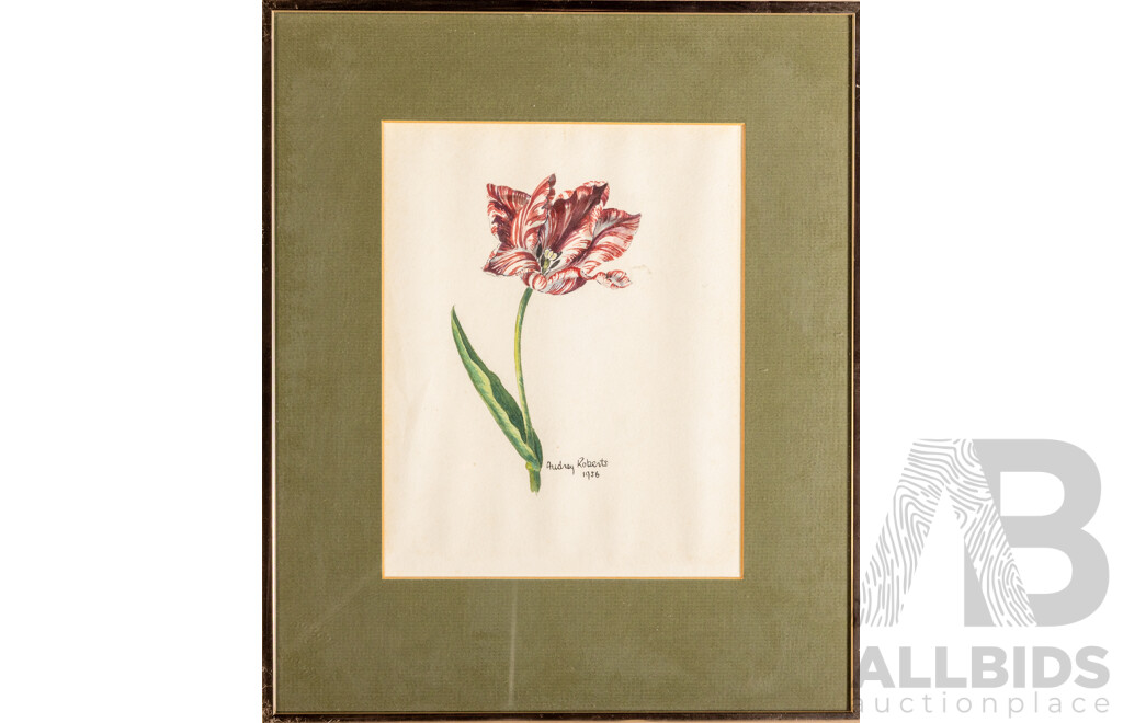 Audrey Roberts (20th Century), Oxlip; Rembrandt Tulip & Lily (1955-56), Original Trio of Mid-Century Original Watercolours, 39H x 32W cm (frames) (3)