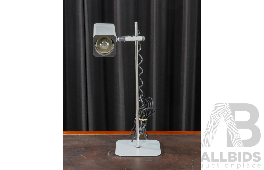 Modern Adjustable Desk Lamp