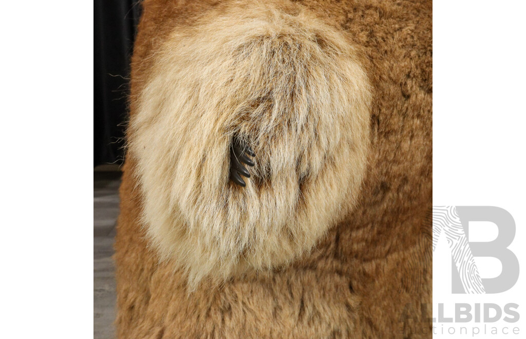 Large Kangaroo Pelt Koala Figure