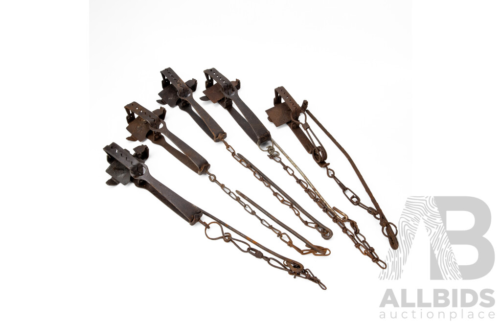 Collection of Five Vintage Metal Rabbit Traps