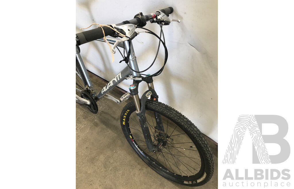 Avanti Blade 21 Speed Mountain Bike