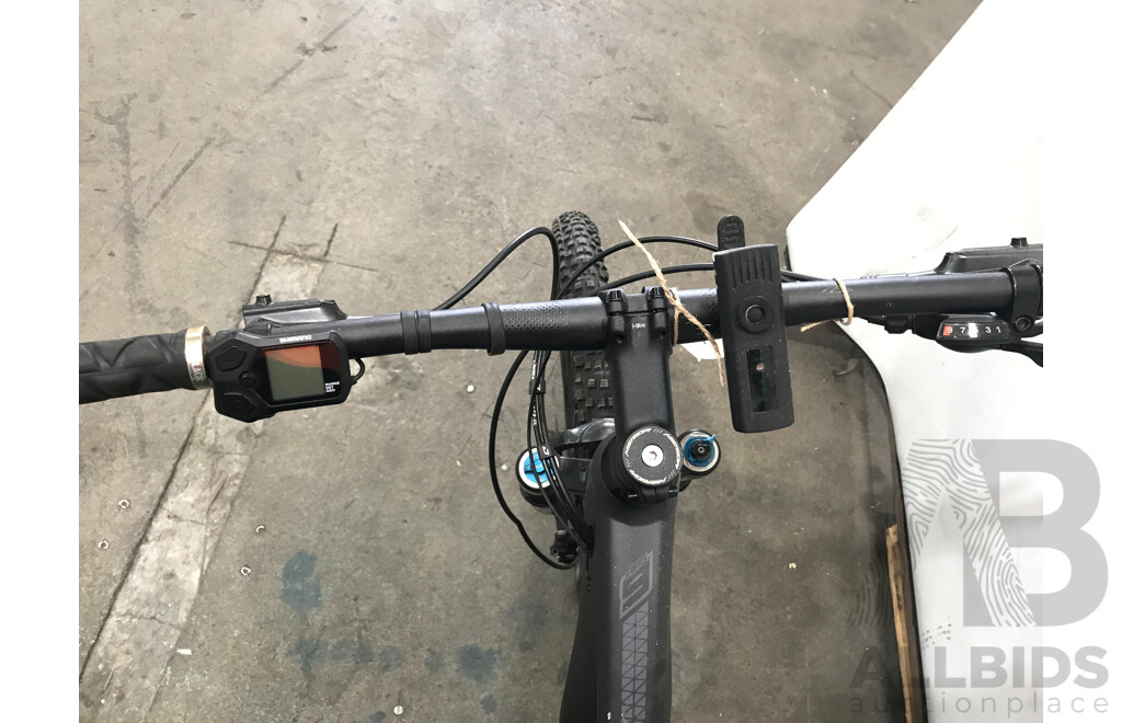 Shimano EBig.Nine 300 SE 9 Speed Electric Bike