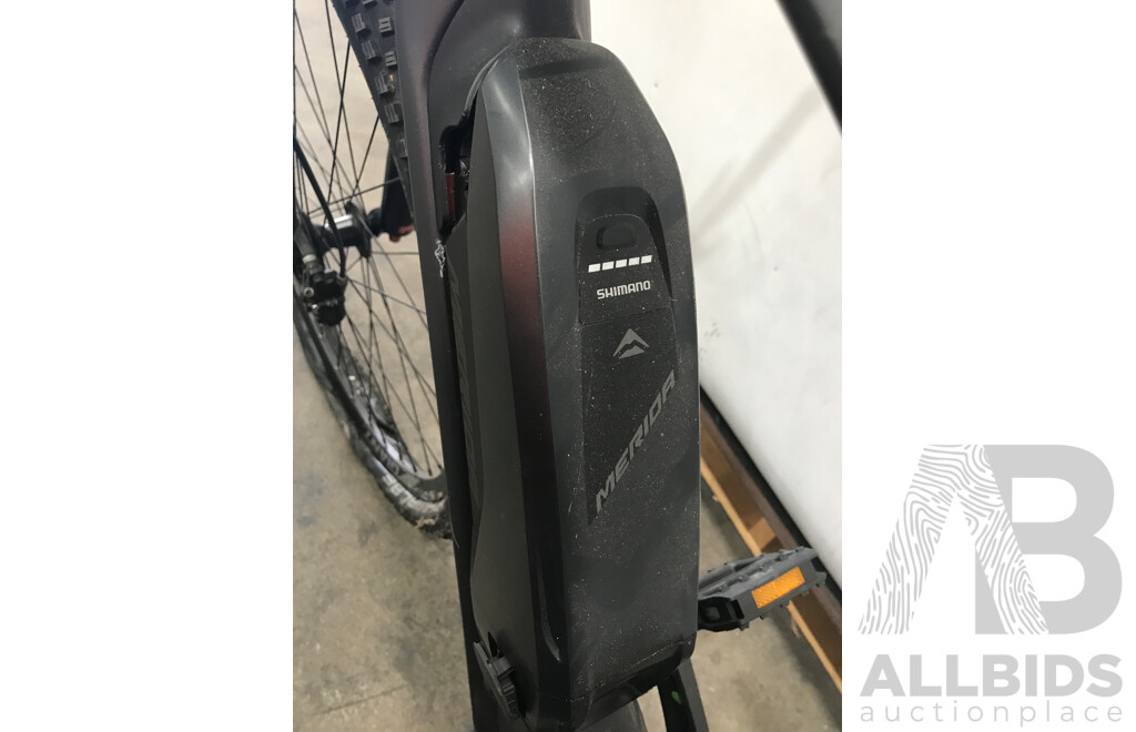 Shimano EBig.Nine 300 SE 9 Speed Electric Bike