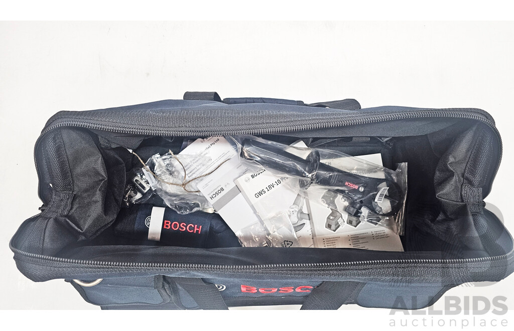 Bosch Professional Power Tool Bag