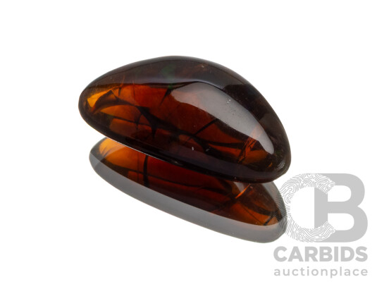 11.91ct Lightning Ridge Opal