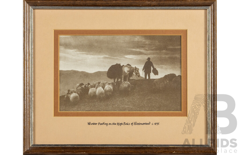 Artist Unknown (20th Century), Winter Feeding on the High Fells of Westmorland (c1895), Vintage Reproduction Print After Original, 29 x 36 cm (frame)