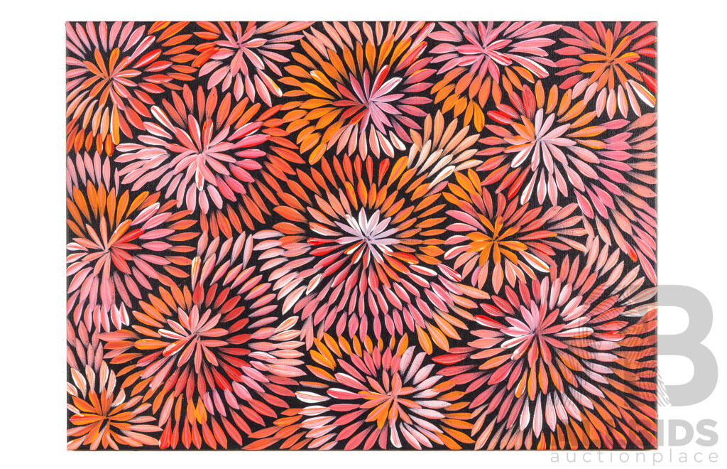 Sharon Numina (20th Century, Indigenous-Australian, 1981-), Bush Medicine Flowering, Acrylic on Canvas, 38H x 53W cm