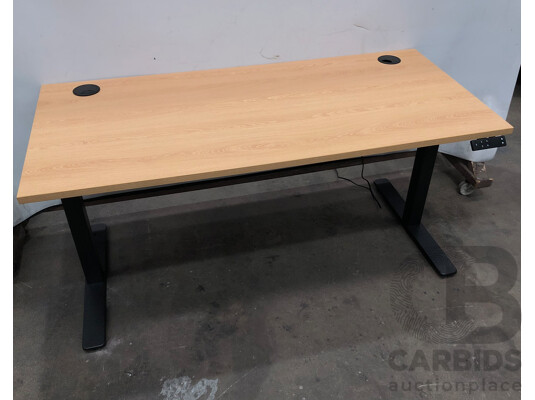 Six Electric Height Adjustable Sit to Stand Desks and Four Gaslift Chairs