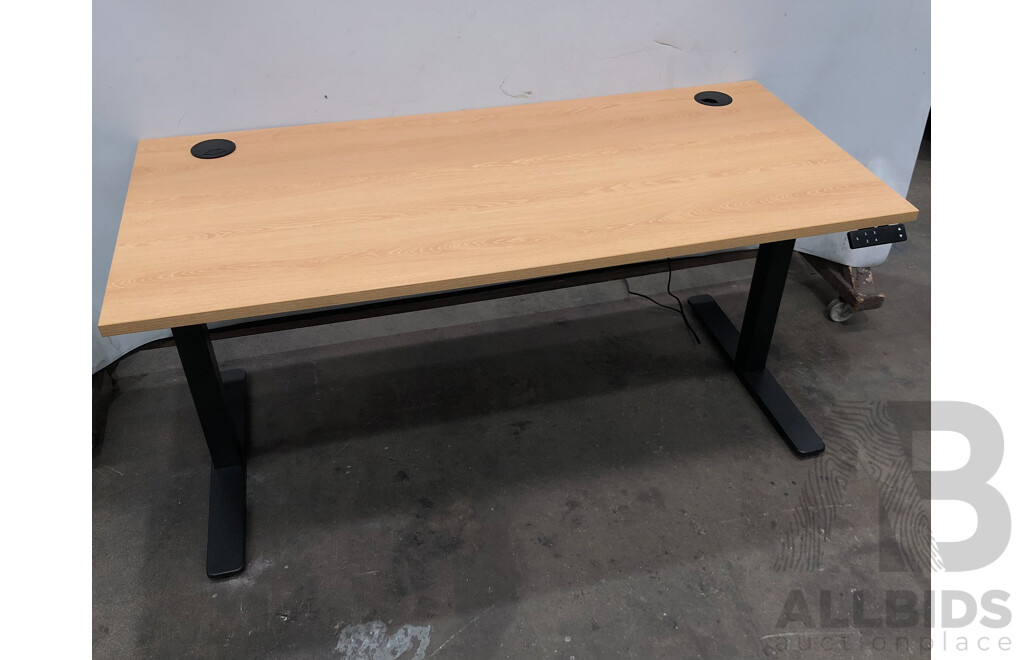 Six Electric Height Adjustable Sit to Stand Desks and Four Gaslift Chairs
