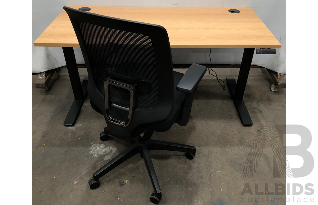 Six Electric Height Adjustable Sit to Stand Desks and Four Gaslift Chairs