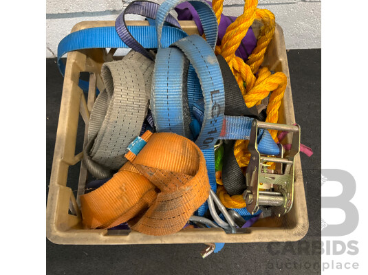 Assorted Ratchet Straps