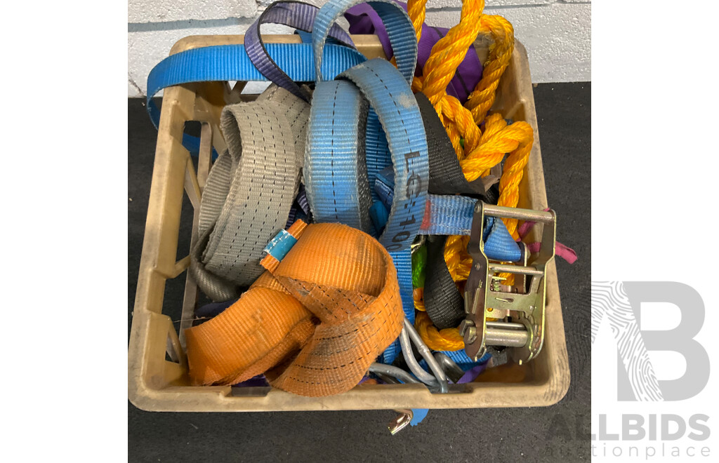 Assorted Ratchet Straps