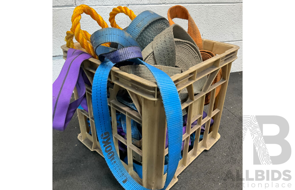 Assorted Ratchet Straps
