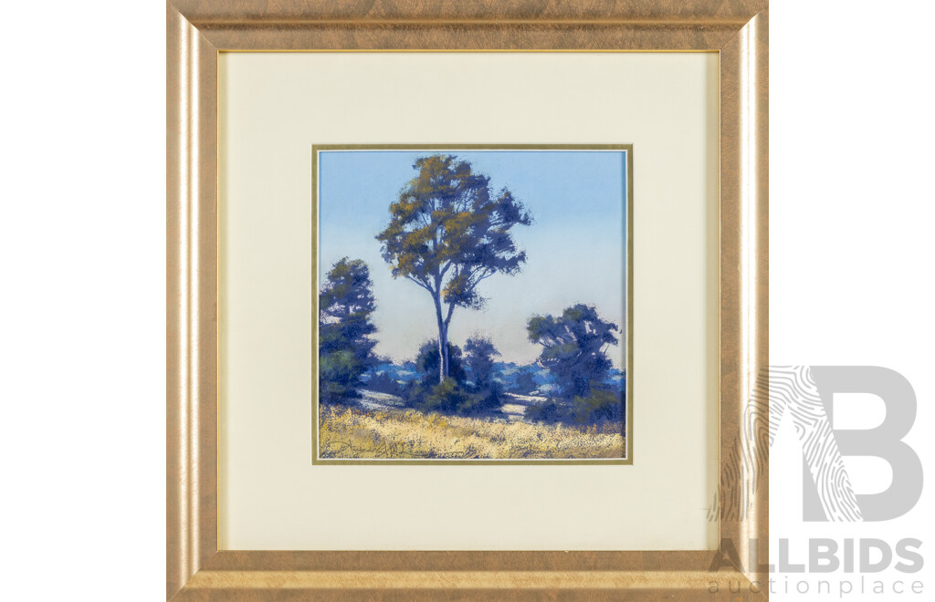 Amanda McLean (20th Century, Australian), Evening, Tree Study, Original Pastel on Ultramarine Colourfix Paper, 46H x 46W cm (frame)
