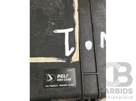 Pelican (1610) Protector Case