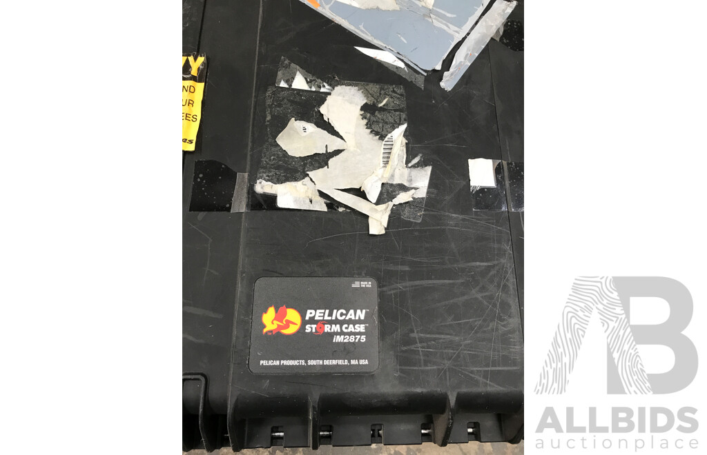 Pelican (IM2875) Storm Travel Case