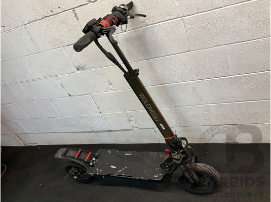 WOLONGGU Electric Scooter